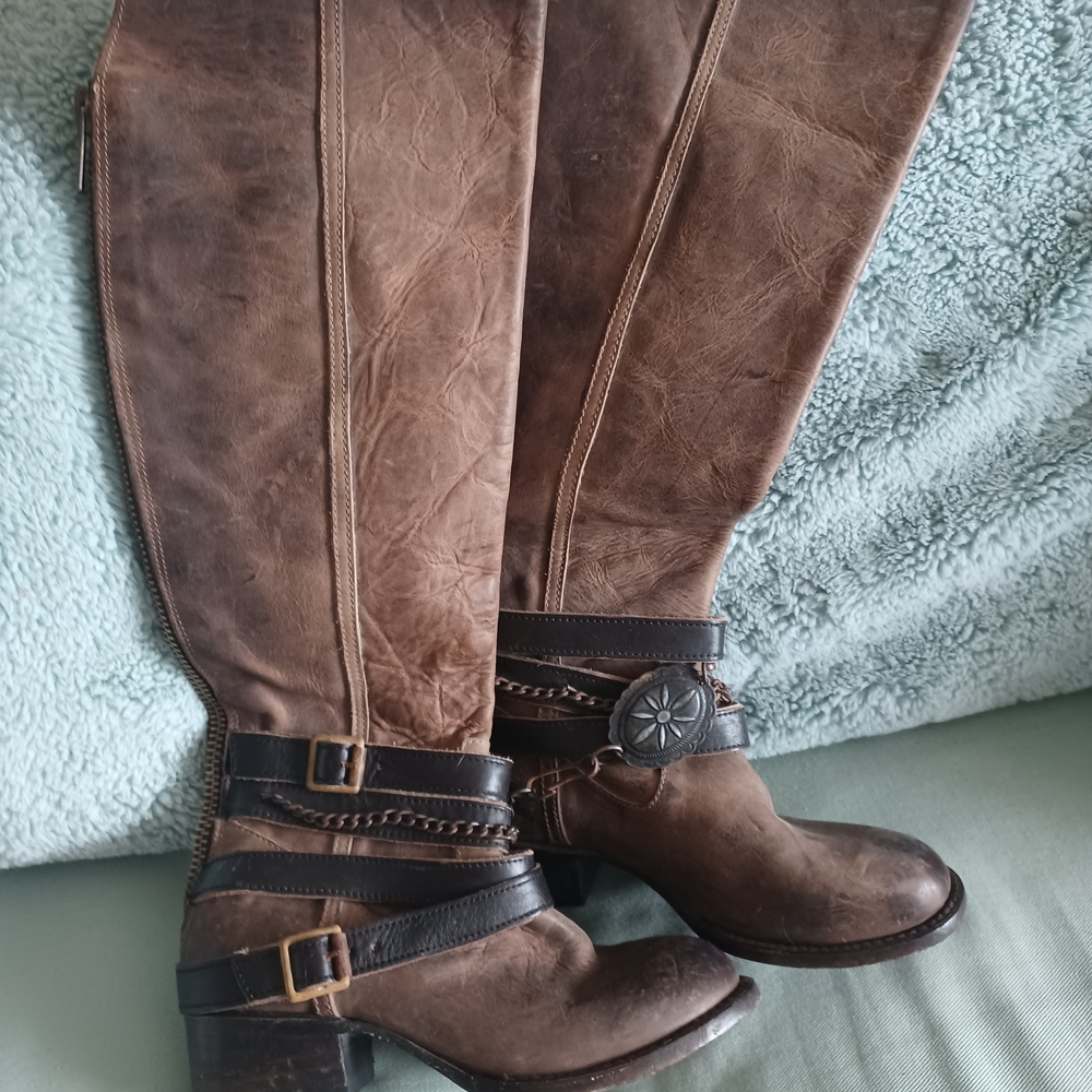 Freebird Dark Brown Heeled Boots with Buckle Accents